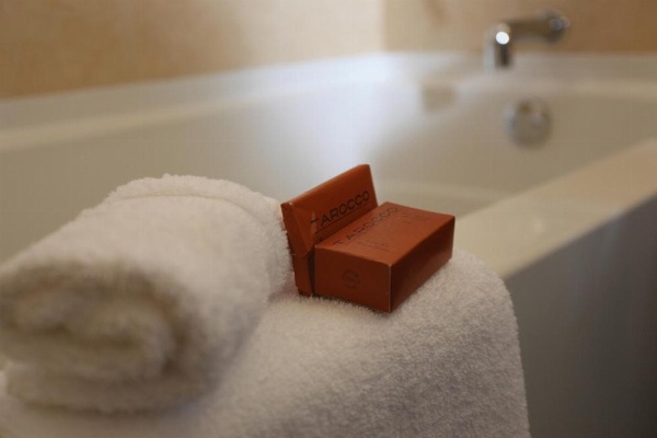 Pointe Plaza Hotel image 22